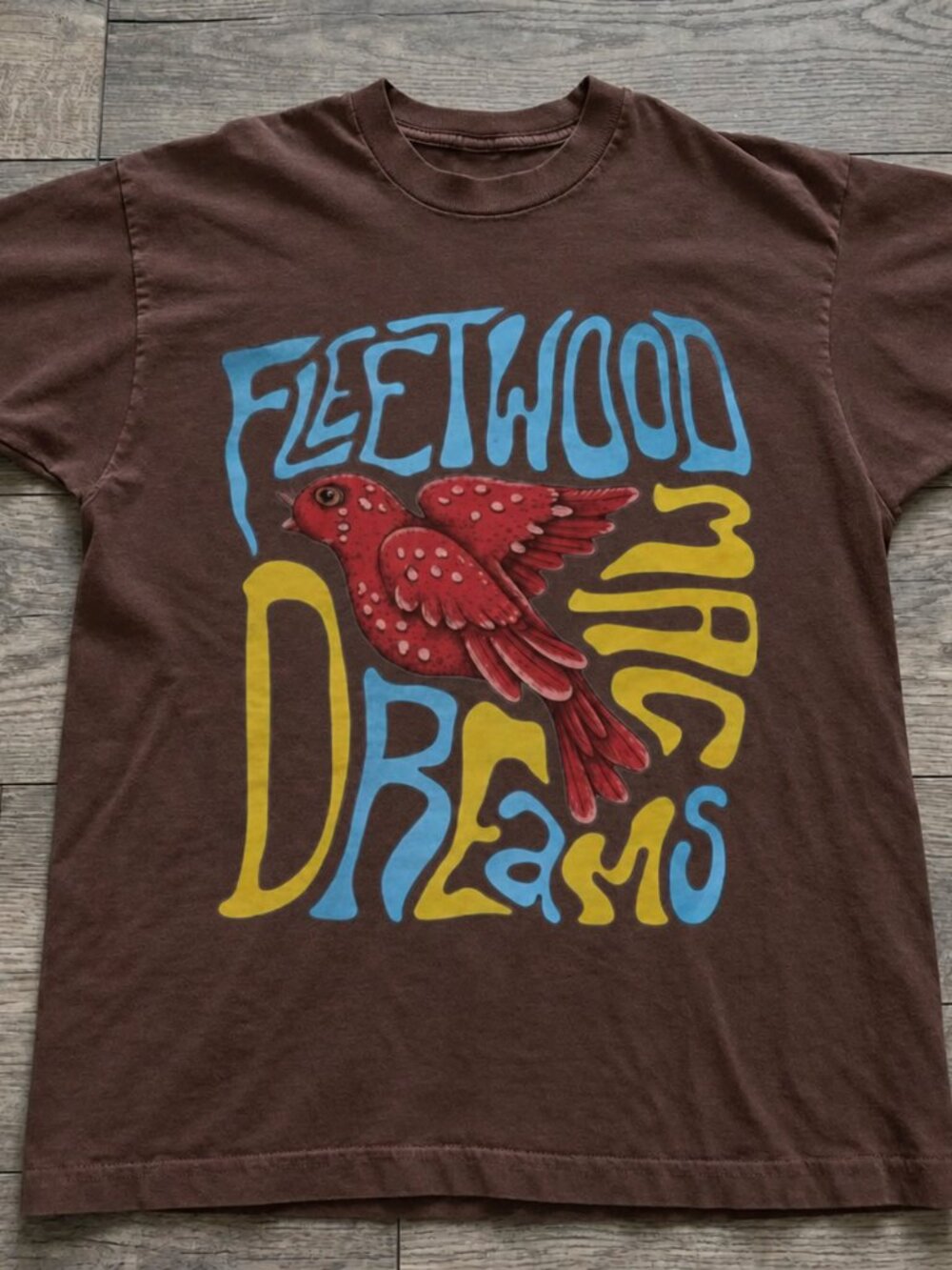 Brown Bird Graphic T-Shirt – Colorful Dreamy Art Tee